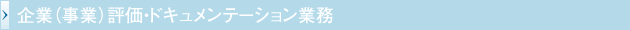企業（事業）評価・ドキュメンテーション業務